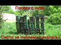 Пасека с нуля.  Охота за пчёлами началась!