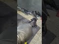 Yamaha Crypton Fi Sincronizacion