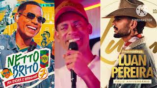 🔥 NETTO BRITO & LUAN PEREIRA — MEGA HAIR | CLIPE OFICIAL 🔥