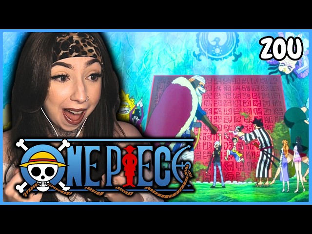 mochimochiakuse もちアク 海賊 リナ海賊 ブラインド NINJA PIRATE MINK SAMURAI ALLIANCE! 👒 | One Piece Episode 771