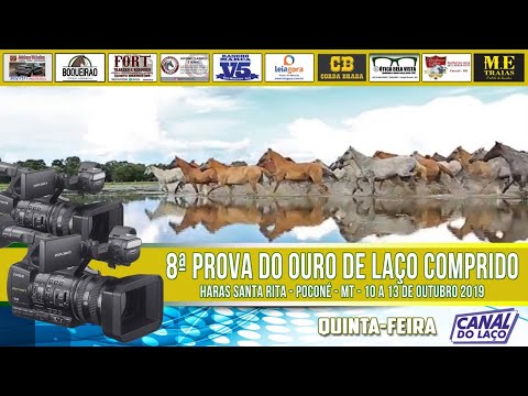 8ª Prova de Laço Comprido - Prova do Ouro - Haras Santa Rita gauchoradios