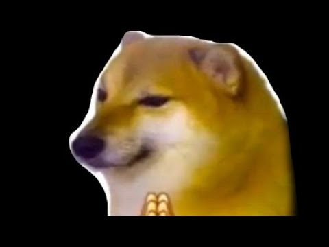 dorime (in honor of cheems) YouTube dorime (in honor of cheems) YouTube