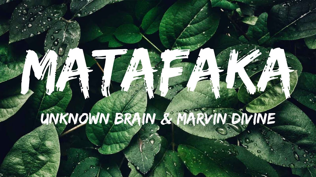 Unknown Brain & Marvin Divine - Matafaka (Lyrics)
