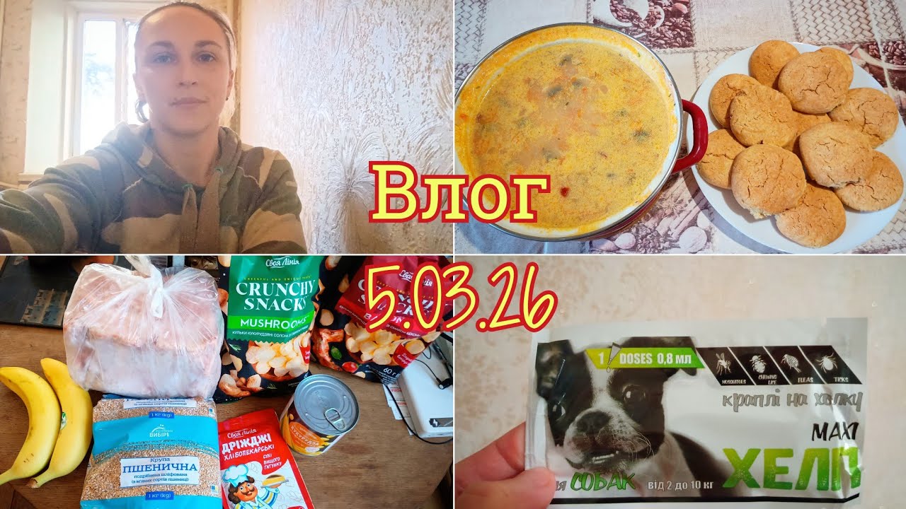 Vlog 5.03.2026 Покупки на 165 грн/Суп с грибами и плавленым сыром/Кукурузное печенье 🍪