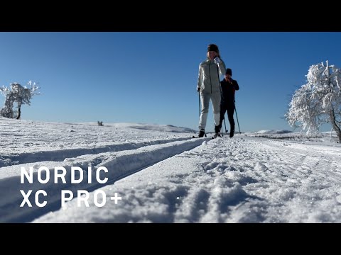 Fischer Nordic l XC Pro+ Schuhe 25I26 DE