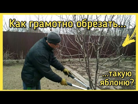 Обрезка ЯБЛОНИ ЗАПУЩЕННОЙ, или как обрезать яблоню 5 ЛЕТ?