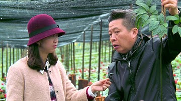 final clip MPEG 2 422 Program stream, 15 Mbps