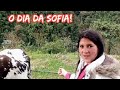 O dia da Sofia! Novela da vida real.