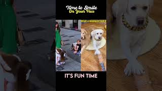 time to Smile 😀 #funny