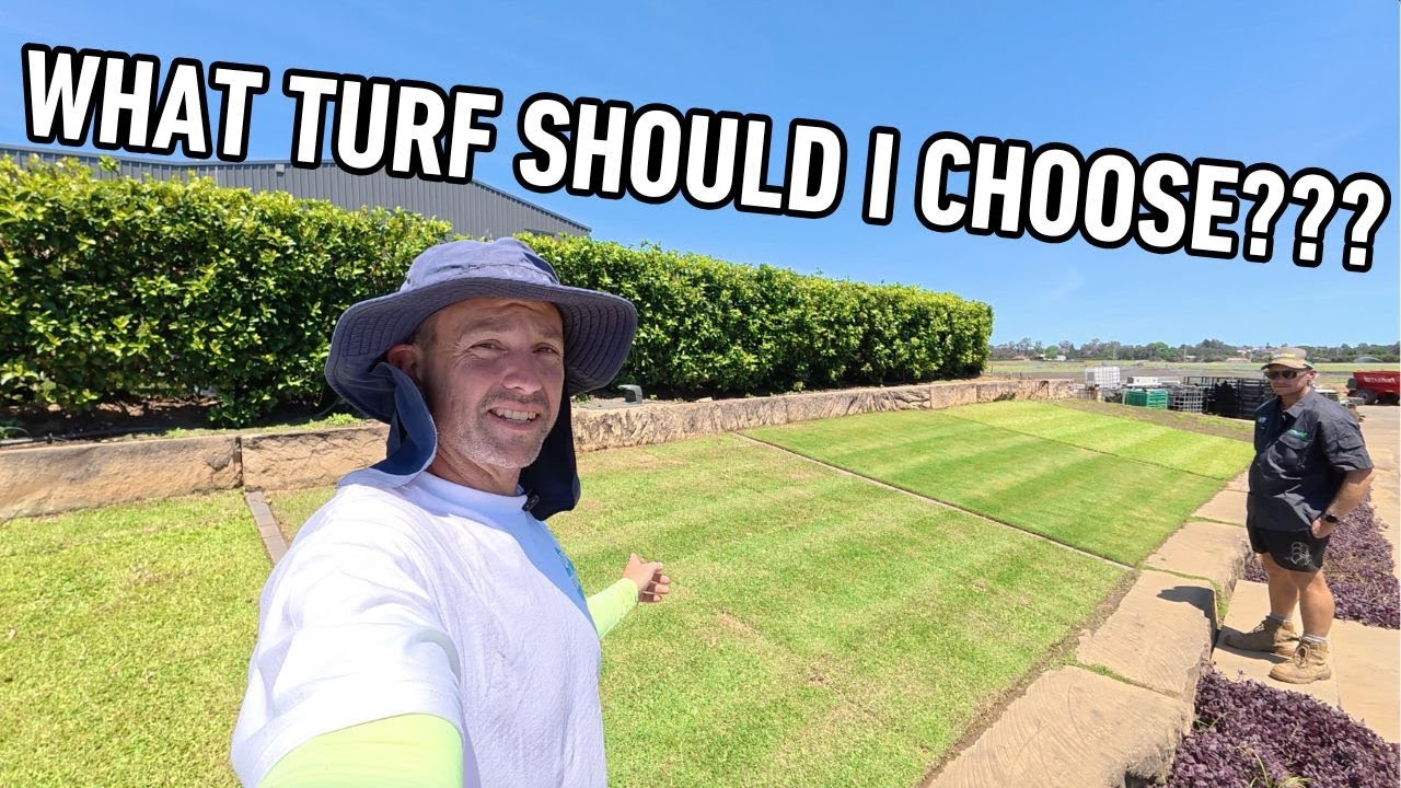 Какой газон выбрать для дома? Давайте посетим нашу газонную ферму!