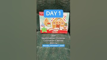 @Squishmallows Advent Calendar: DAY ONE! #squishmallows #adventcalendar2025 #christmas #funnydogs