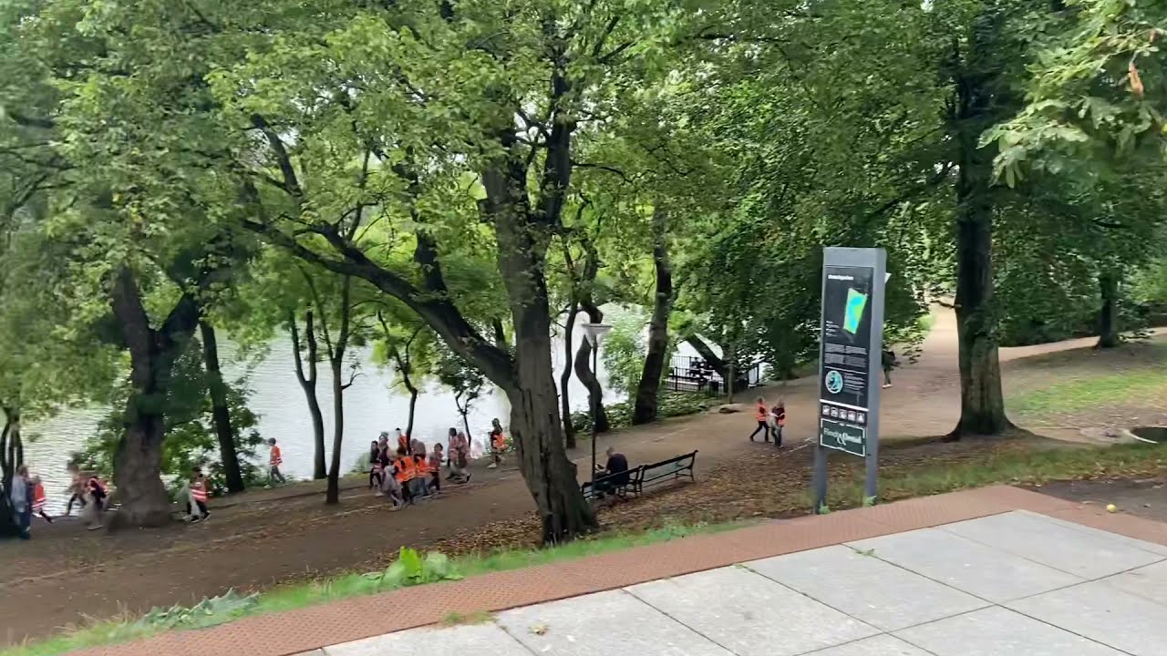 Israel Plads Complex Adaptive System