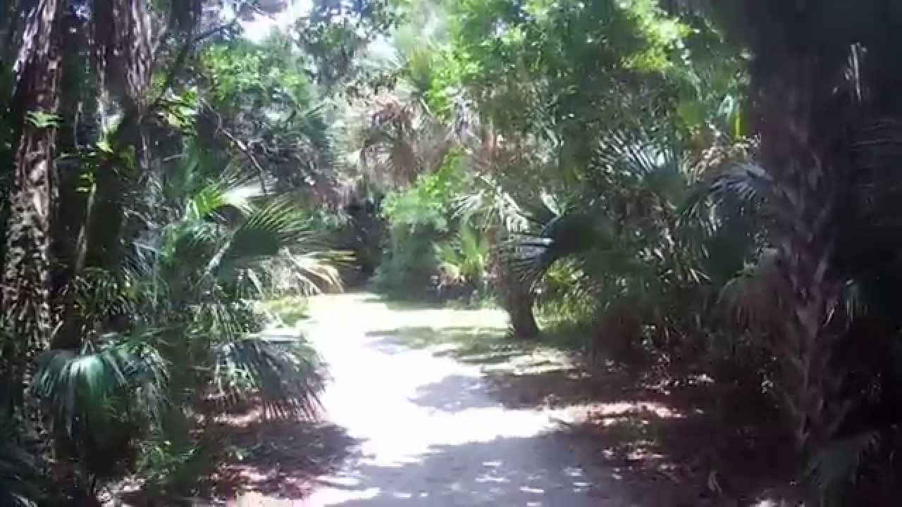 Walking Around Caloosahatchee Regional Park in Alva, Florida YouTube