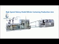 DPH-260-ZH-300 High Speed Blister Cartoner Production Line
