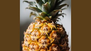 Kita Mengerti Tanpa Kata