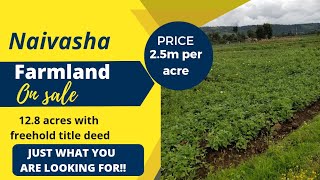 (SOLD) 12 Acres Farmland in Naivasha for sale!! (#realestate #farmlandinvestment #agriculture)