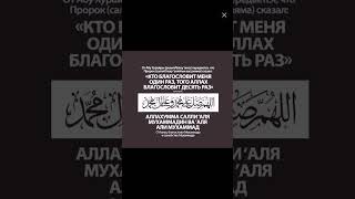 #quran #напоминание #субханаллах #коран #elbruso #салауат