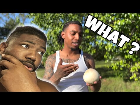How does coconuts 🥥 have water in it ? (REACTION)