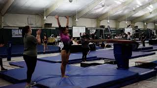 Meaghan Level 8 Vault