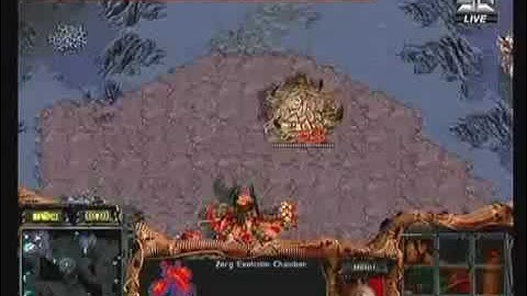 MSL Semifinal Jaedong vs Calm Game 2