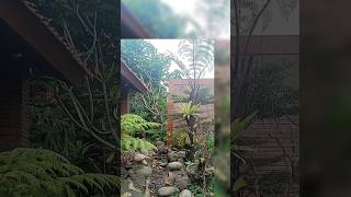 Download Lagu rumah sederhana bernuansa alam... MP3