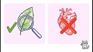 S1 Science  :Identification Keys 檢索表
