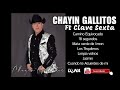 Chayin gallitos de chihuahua ft clave sexta  en vivo 2024 pedroluna fest