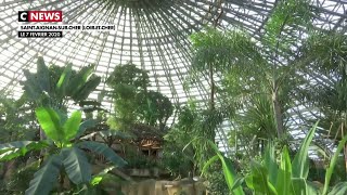 Le zoo de Beauval inaugure un dôme équatorial