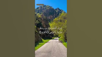 فَبِأَيِّ آلاءِ رَبِّكُمَا تُكَذِّبَانِ #قرآن #تلاوات #عبدالباسط من سورة الرحمن
