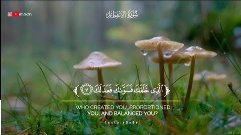 سورة الانفطار شريف مصطفى