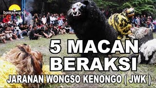 Lima Macan Beraksi Di Jaranan Wongso Kenongo ( JWK ) Live Pemandian Pancoran 01 Januari 2019
