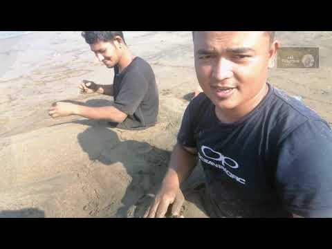 Video: Koleksi Angka Terapi Pasir Jungian