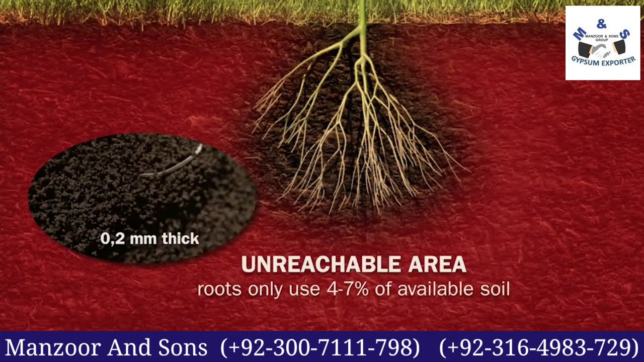 Agriculture Gypsum (Benefits ) YouTube