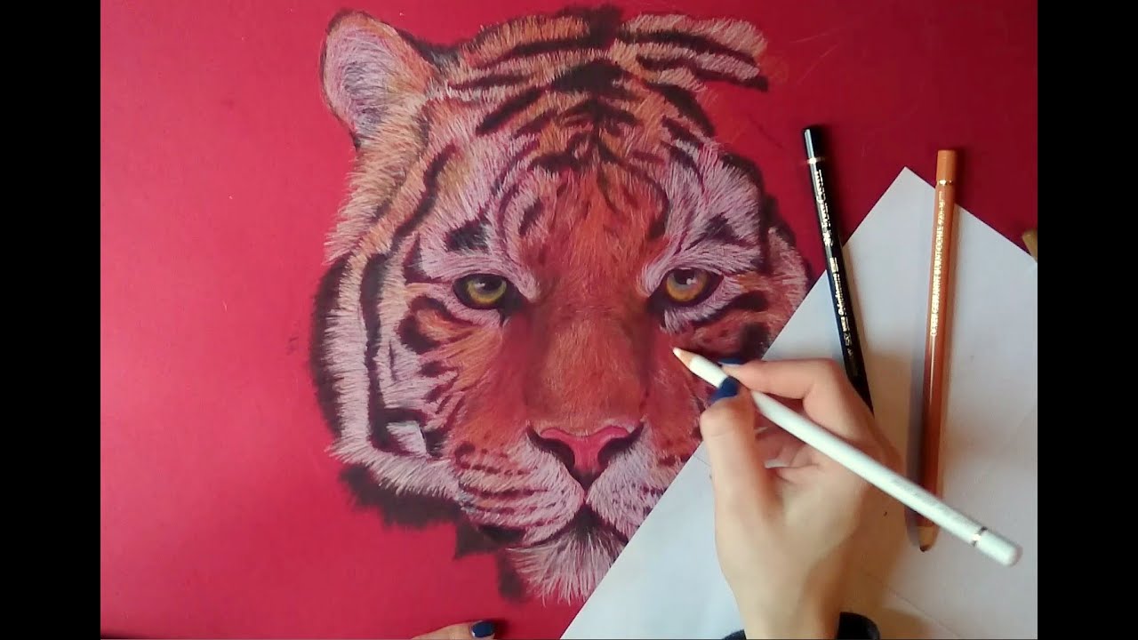 Wie zeichnet man - einen Tiger \\JosYMovieS - YouTube