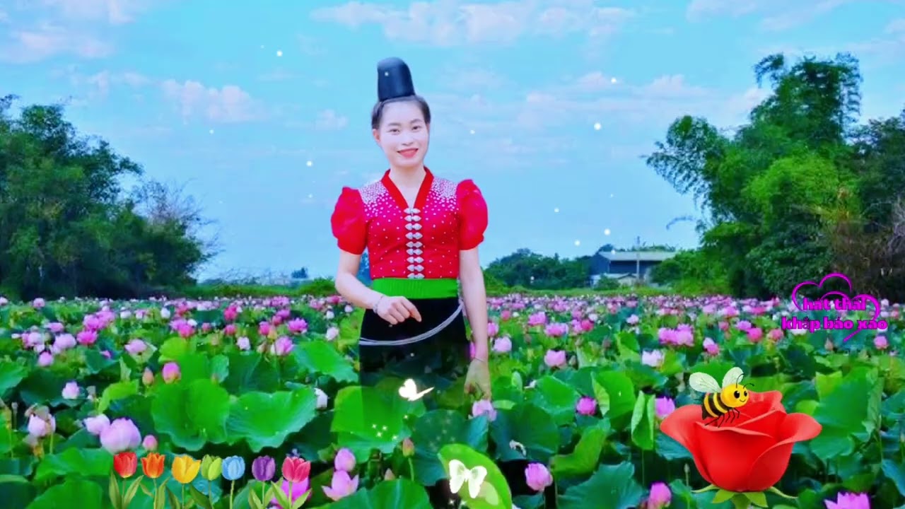 Hát thái khắp tay báo xao tổng hợp các bài hát hay nhất pi nong au căn tọn phăng 