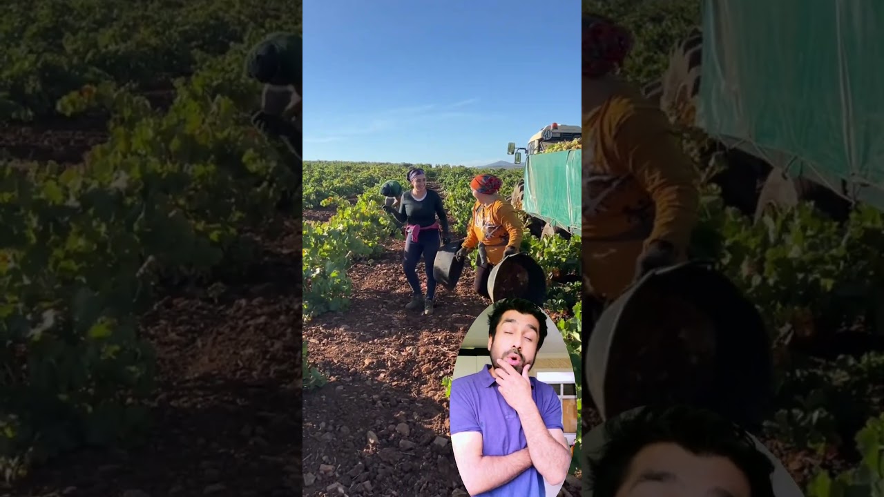 California Farm Girl Working Hard 💪 | Job Offer in USA