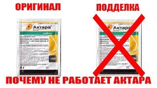 Препарат АКТАРА-почему не работает?