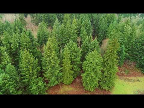 23902 NE Weakley Rd, Camas, WA home video tour