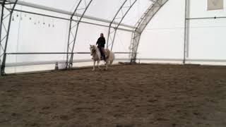 Willow Grove Pebbles - Flat Work