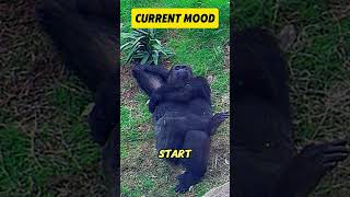 Current Status 100 Recharged 0 Motivated youngjay0918