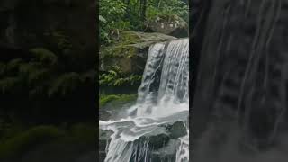 Don’t scroll… close your eyes for 10 seconds and listen to this waterfall 💧#ASMR #Waterfall #Relax