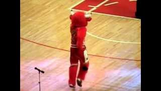 Benny The Bull Dancing Gangnam Style