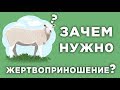 Зачем мусульмане совершают жертвоприношение, и какая от этого польза