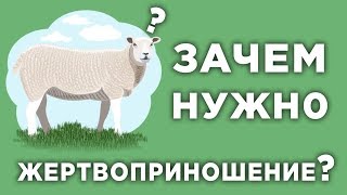 Зачем мусульмане совершают жертвоприношение, и какая от этого польза