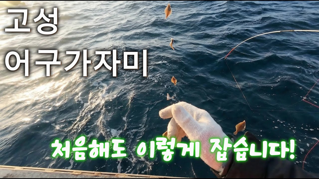 생각보다 쉽네? 고성 어구가자미낚시 - 최고의 반찬거리