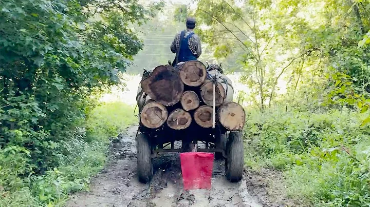 Horse Logging with Jeff Ferge