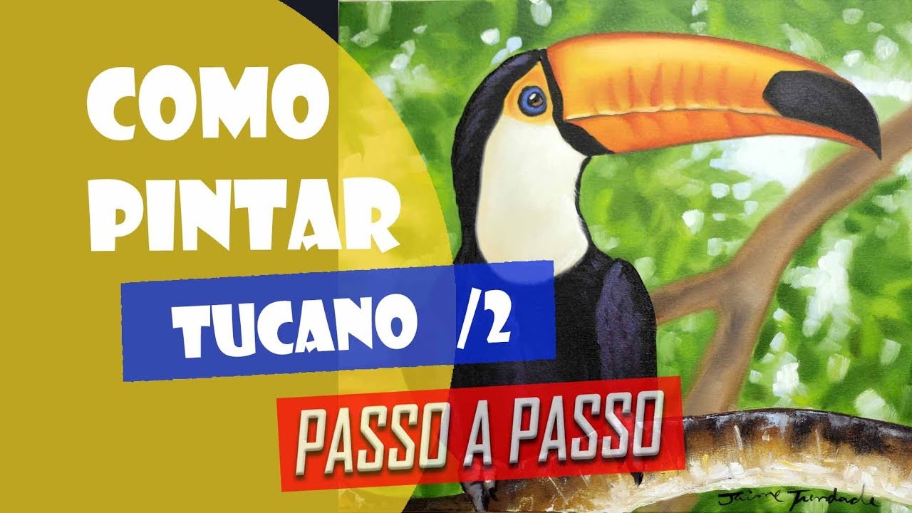 Como Pintar : Um Tucano / parte 2 ( Passo a Passo )