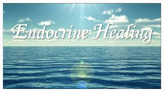 Endocrine Healing (Biohacking Series)