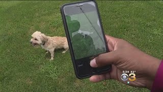 Michigan Man Creates DoggZamm! App
