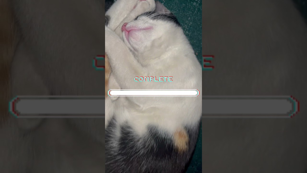 Fully charged😂😂